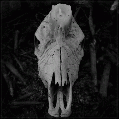 Worsen : Cursed to Witness Life Worsen : Cursed to Witness Life